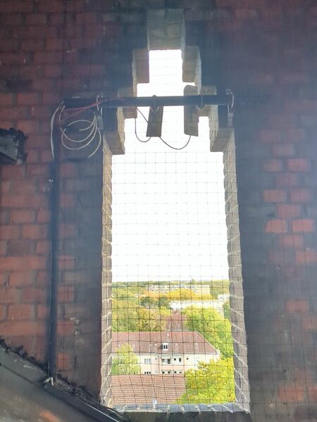 Datei:Chris Ost 2024.jpeg