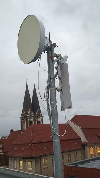 Datei:Magda Mast 2024.jpeg