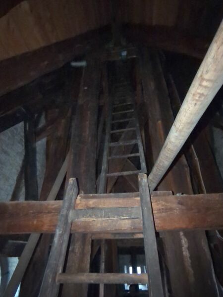 Datei:Mela Leiter 2024.jpeg