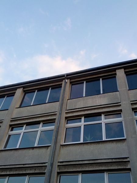 Datei:TeskeSchule-Provisorum-II-Uplink-a.jpg