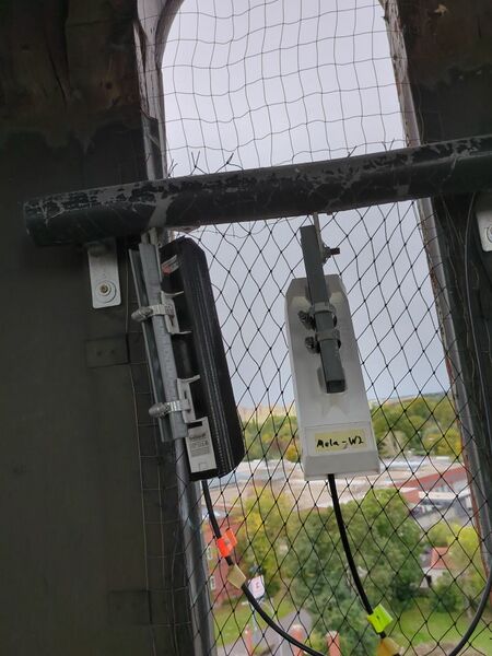 Datei:Mela West 2024.jpeg