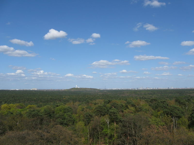 Datei:Blick vom Grunewaldturm Nordost.jpg