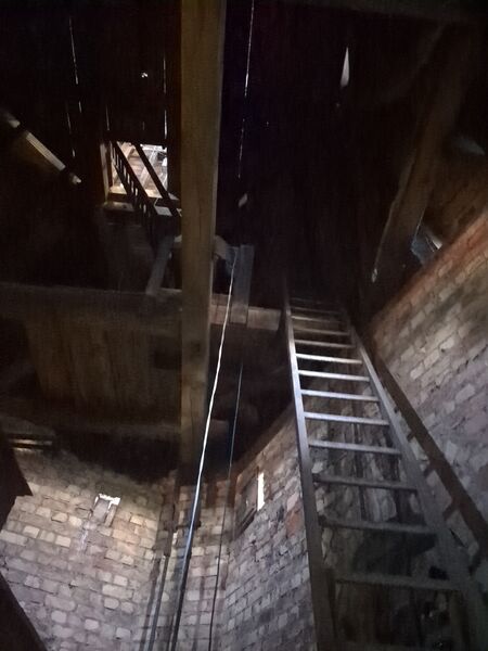 Datei:Zwingli Leiter 2024.jpeg