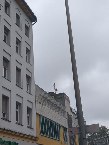 Datei:Kotti-core von unten.jpg