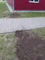 Kabel durch Leerrohr unter dem Weg verlegt