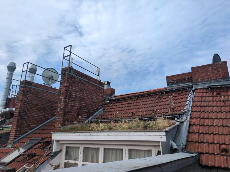 Datei:IMG 20250711 092905 651.jpg