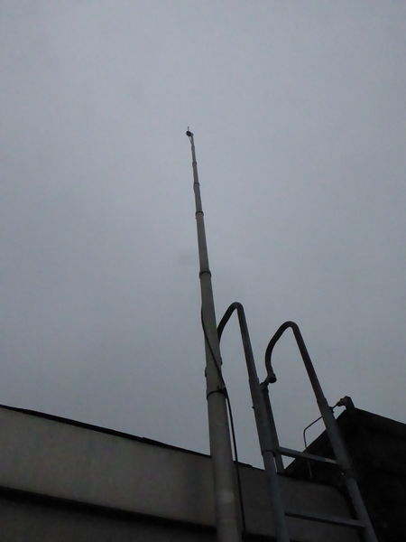Datei:Bluecherstr-zweiter-Mast-Funk.jpeg