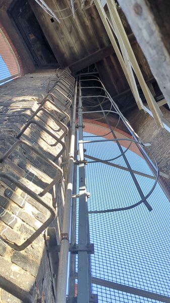 Datei:Emma Aufstieg Leiter 2024.jpeg