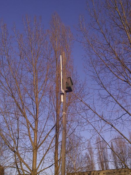 Datei:Laskerwiese-bullet m2.jpg