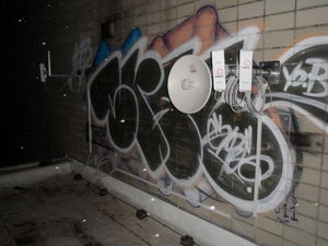 Ost-Seite Dach (SO und NO), März 2014